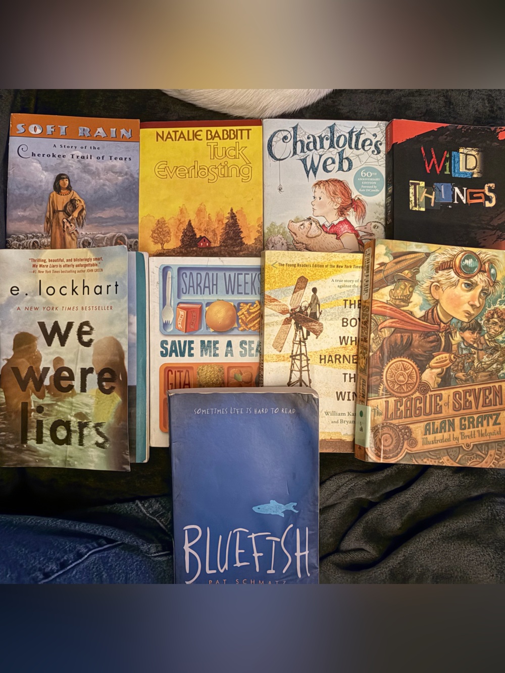 Set of paperback book